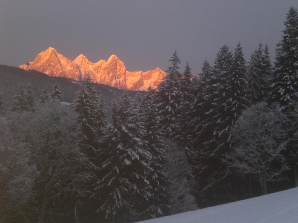 Lochgrubgut Lägenhet Altenmarkt im Pongau Exteriör bild